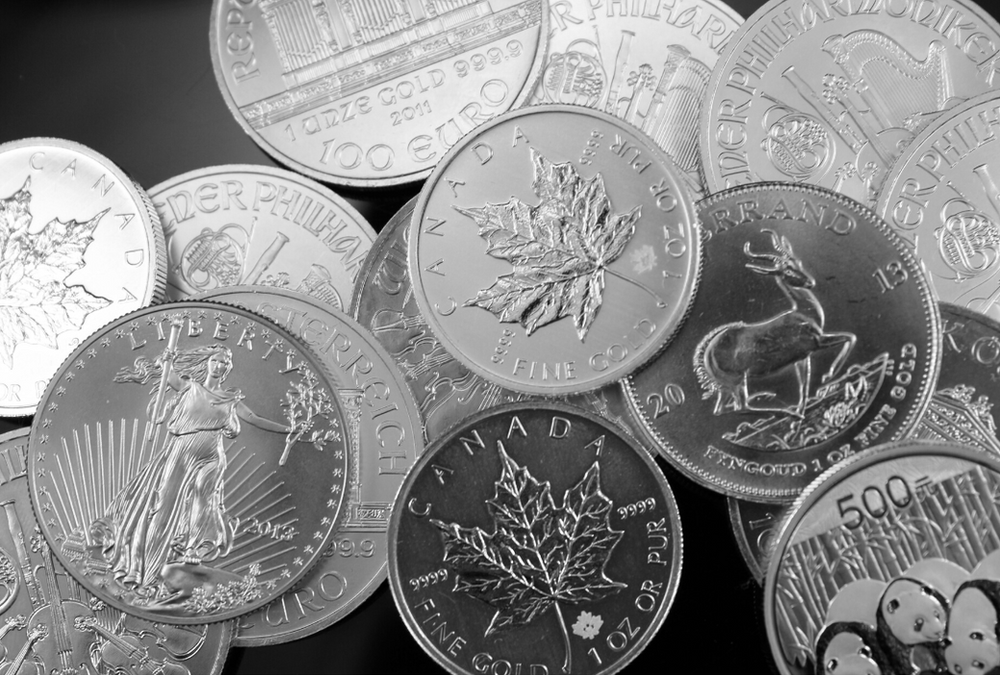 6544f3d949710d7b7118303e_file