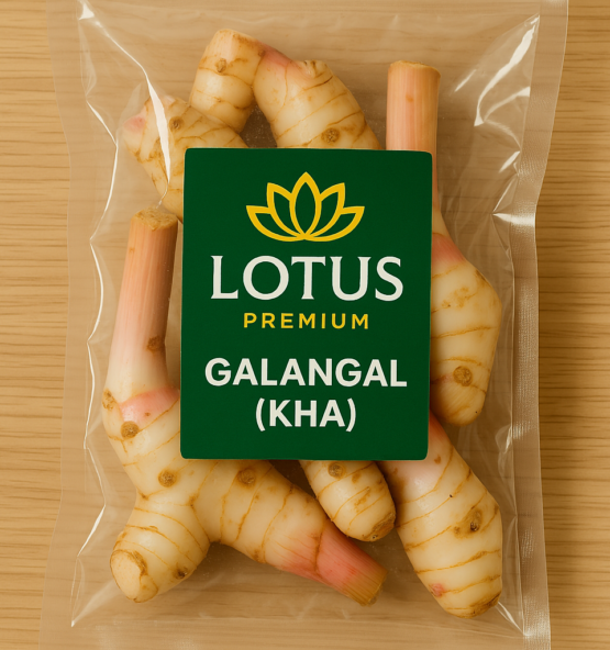 Buy Lotus Premium Galangal – Authentic Thai Spice for Cooking
