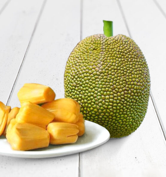 Premium Vietnam Jackfruit – Buy Fresh, Dried & Frozen Jackfruit Online