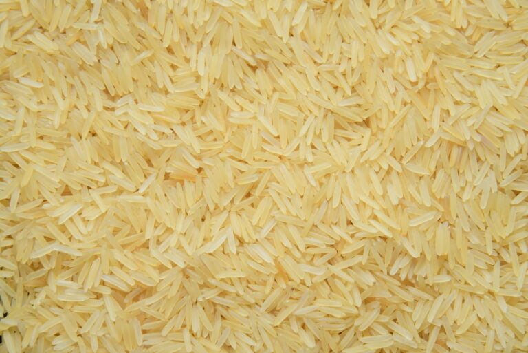 Buy Sugandha Golden Sella (7.90mm) Non-Basmati Rice – Premium Indian Rice Exporter