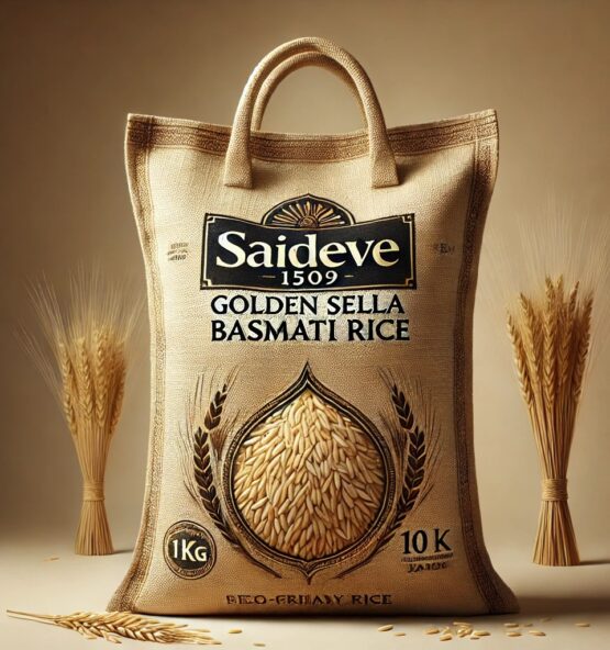 WhatsApp Image 2025 03 05 at 16.19.01_ebbb39e3 555x592