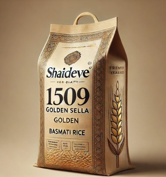 WhatsApp Image 2025 03 05 at 16.21.27_a7d3e4f4 555x592