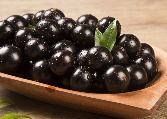 Buy Premium Jabuticaba – Fresh Brazilian Fruit | Wholesale & Bulk Supplier | Thaitradezone