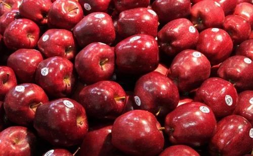 Buy Premium Washington Apples Wholesale – Fresh & Crisp | Thaitradezone