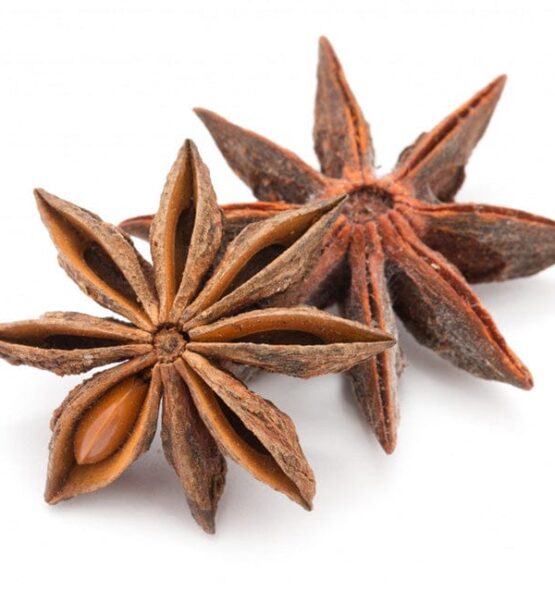 Lotus Premium-Star Anise (Chakram) from Thailand – Wholesale & Export | ThaiTradeZone