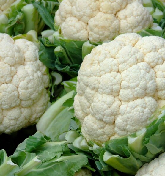 cauliflower 181864 2 555x592