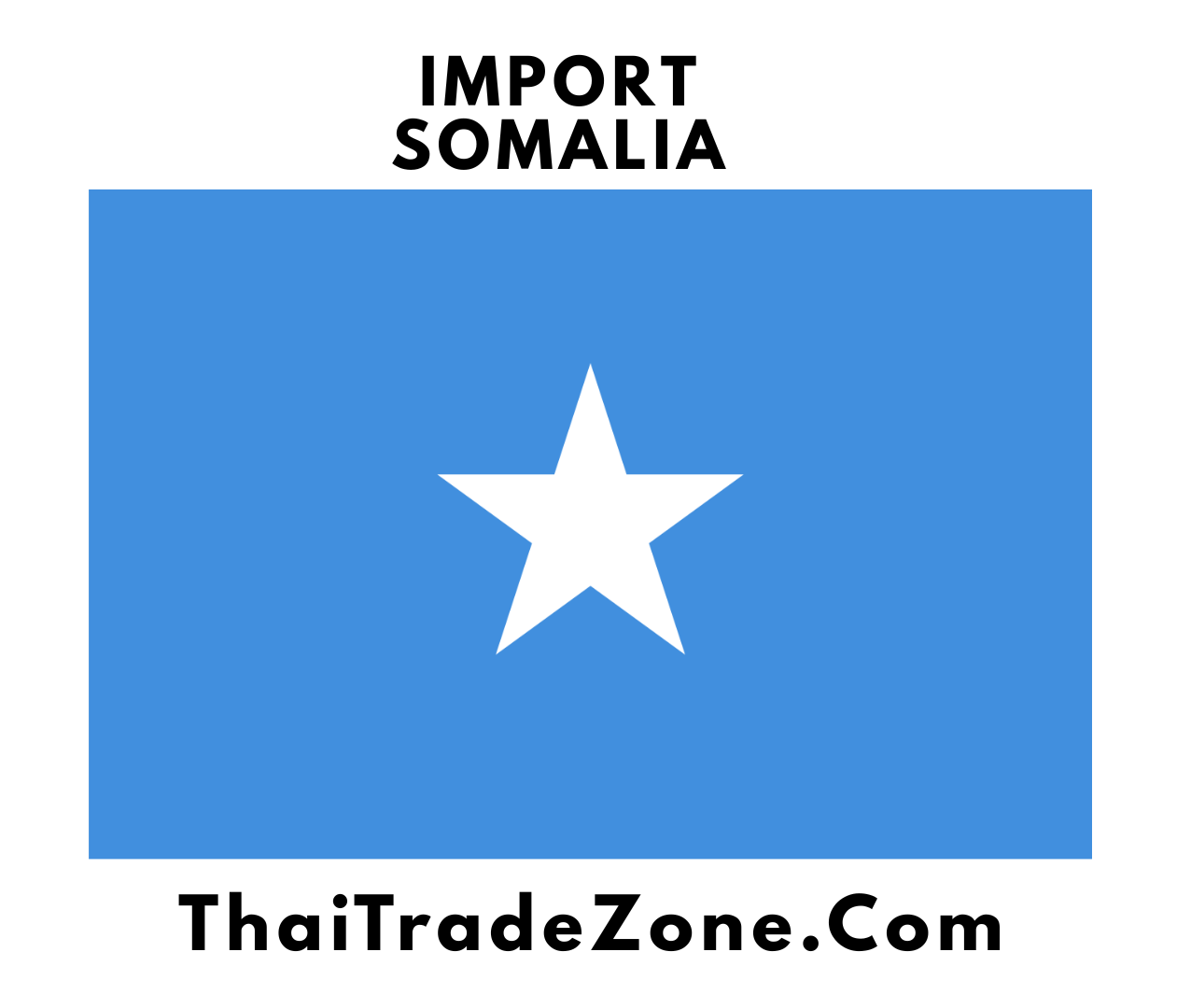 "Global trade solutions by ThaiTradeZone – Import products to Somalia including food, electronics, auto parts, and more"