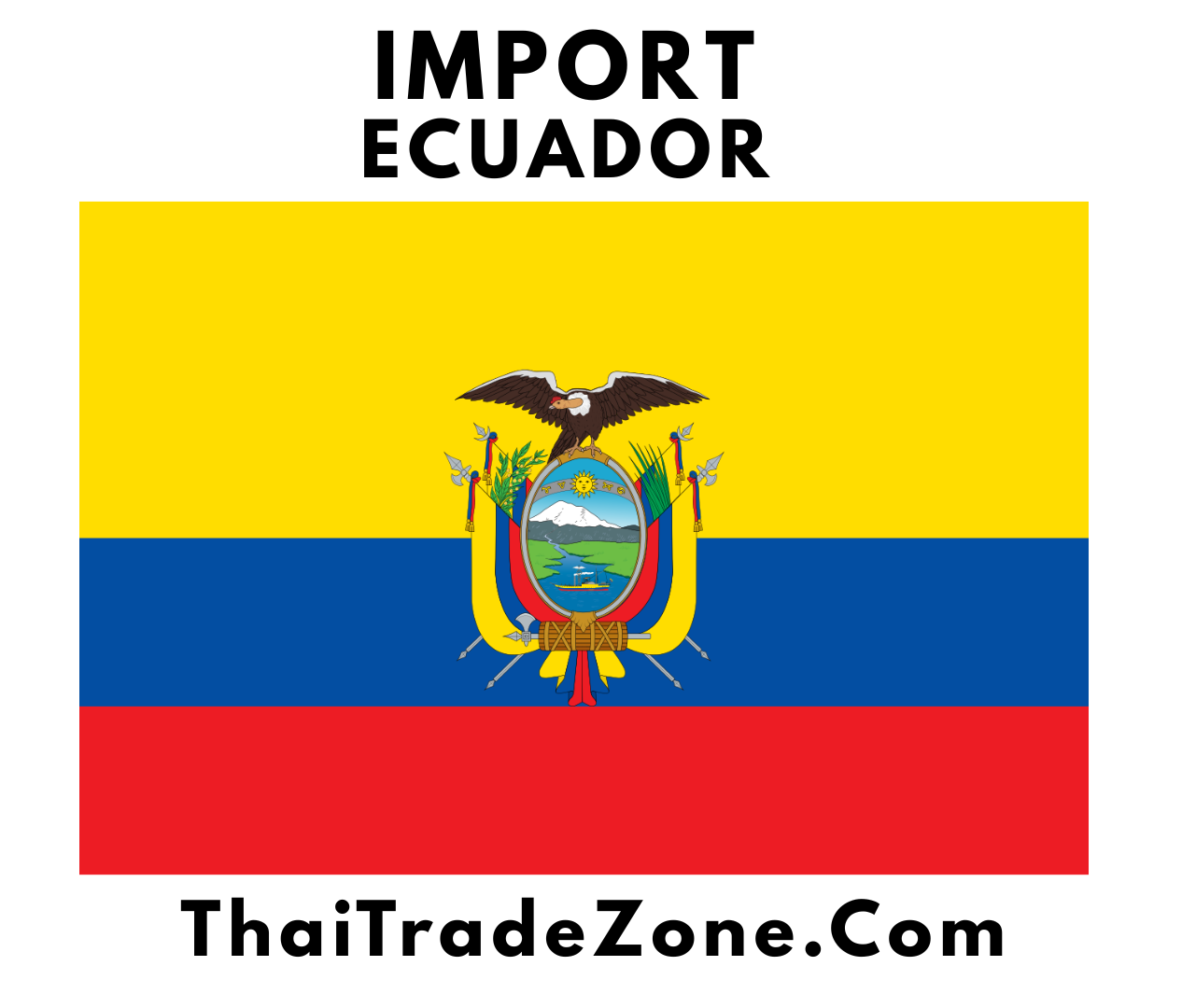 "Entrepreneur in Ecuador starting an import business with global trade support from ThaiTradeZone"