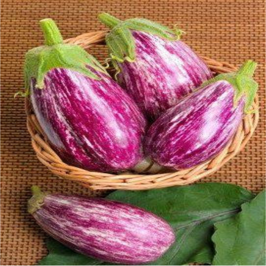 Egg Plant New