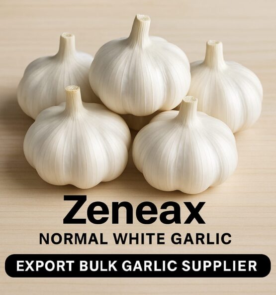 Zeneax Normal White Garlic