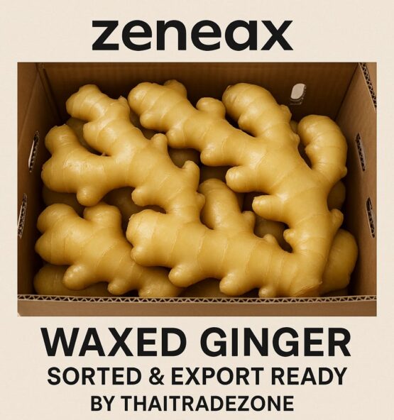 Zeneax Waxed Ginger