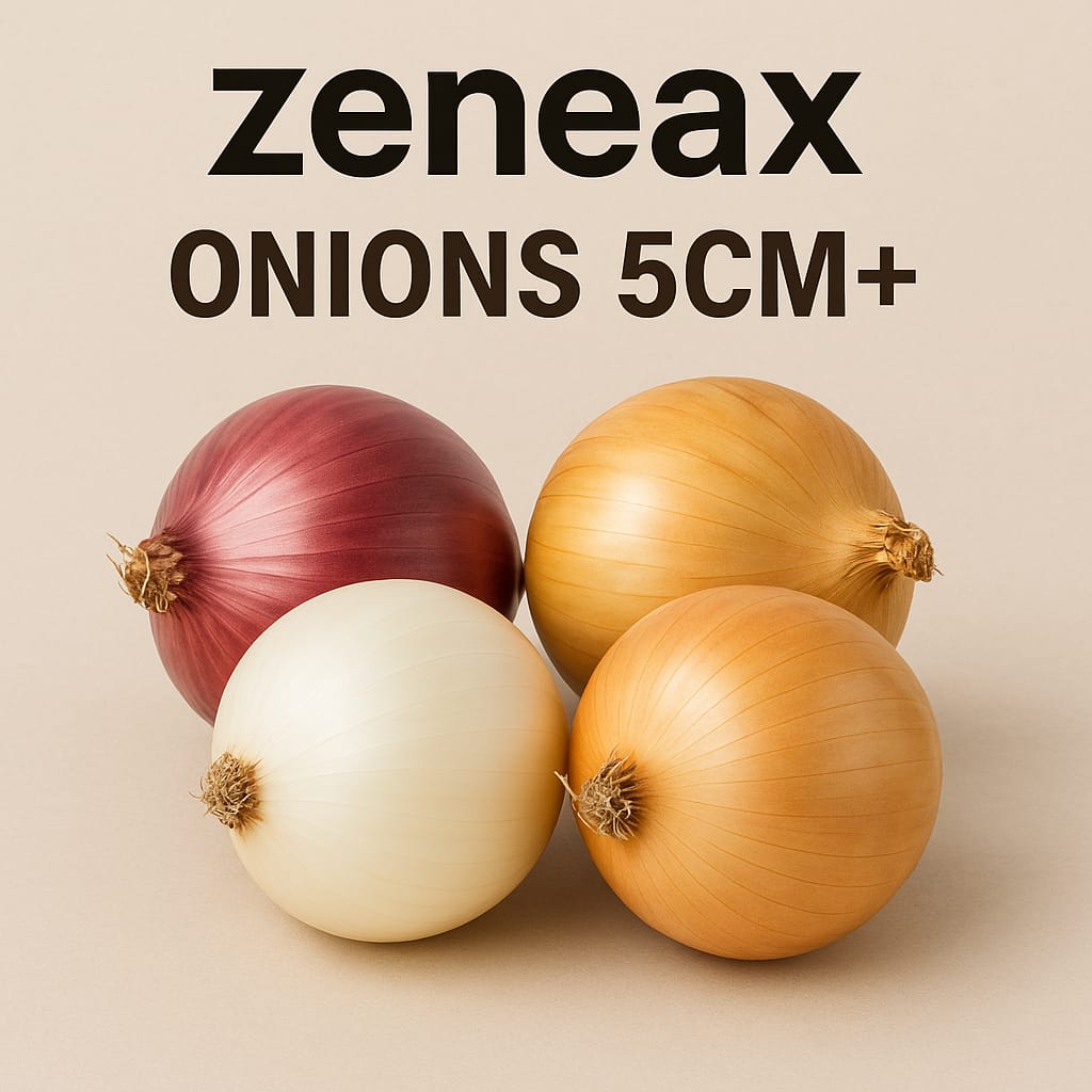 Zeneax Onions 5cm+ – Bulk Export Supplier